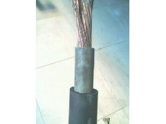 天津市电缆总厂橡塑电缆厂供应 邯郸市场ZR-DJYPVP 10×2×1.5阻燃计算机电缆详解